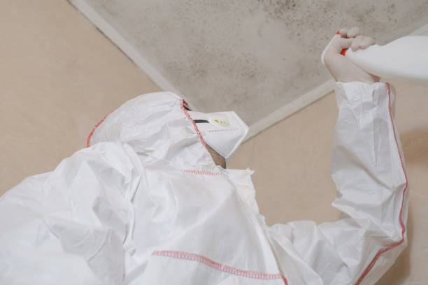 Best Commercial Mold Removal  in Princess Anne, MD